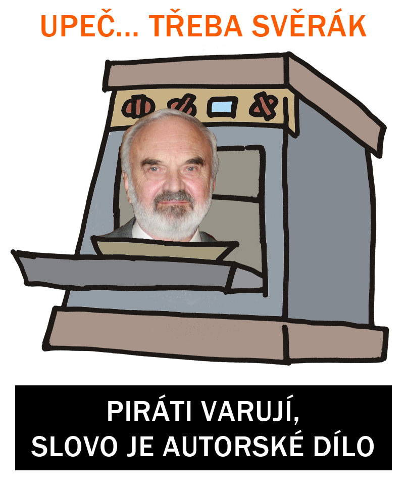 sverak-pirat2.jpg